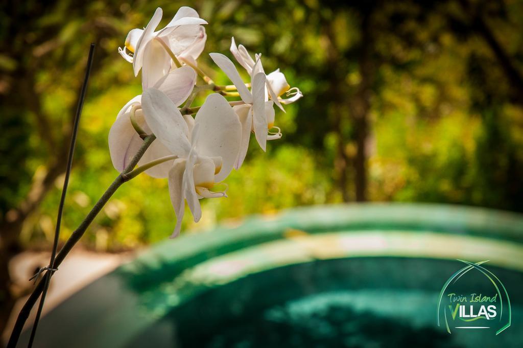 Twin Island Villas & Dive Resort Nusa Lembongan  Ngoại thất bức ảnh